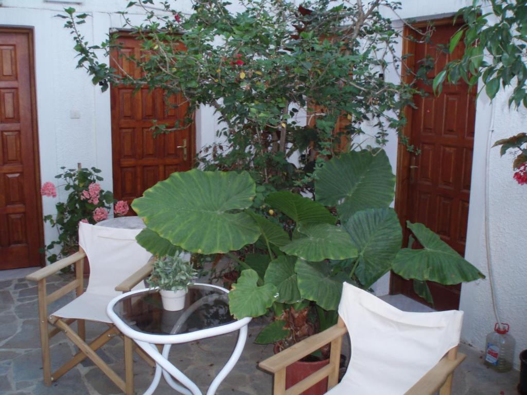 Pantazis Studios Aegina Pokój zdjęcie