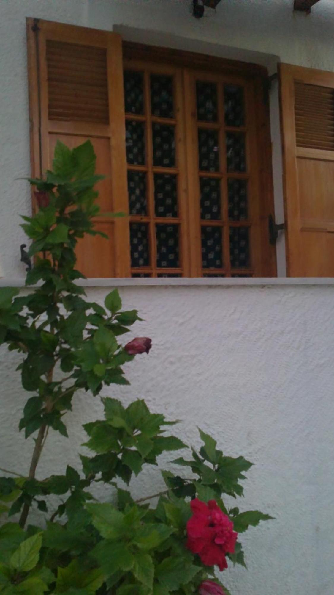 Pantazis Studios Aegina Zewnętrze zdjęcie